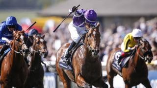 2,000 Guineas winner Saxon Warrior